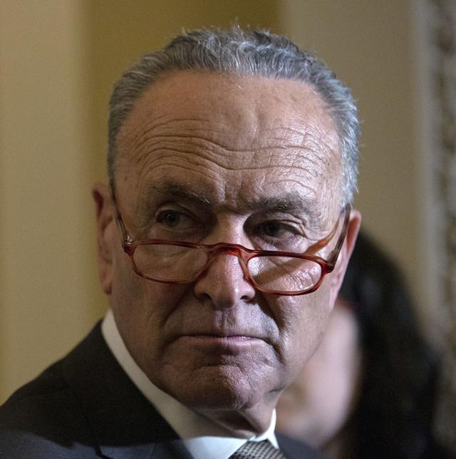 The hairline of Chuck Schumer
