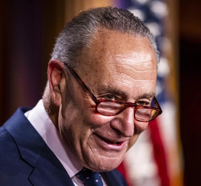 The hairline of Chuck Schumer