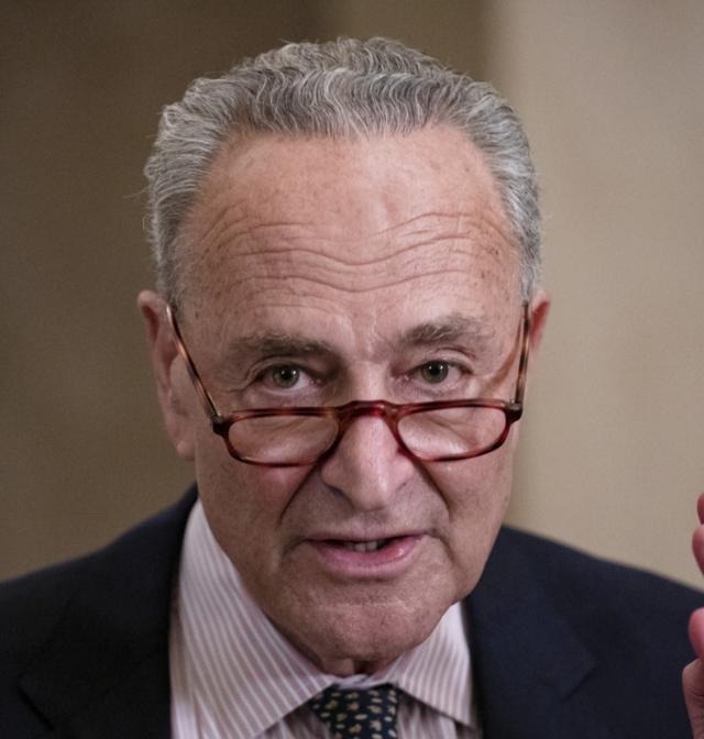 The hairline of Chuck Schumer