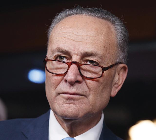 The hairline of Chuck Schumer