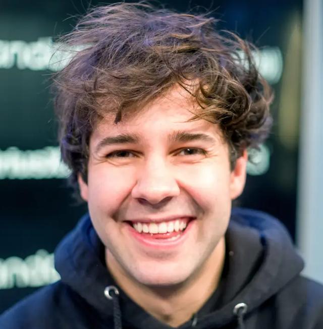 The hairline of David Dobrik