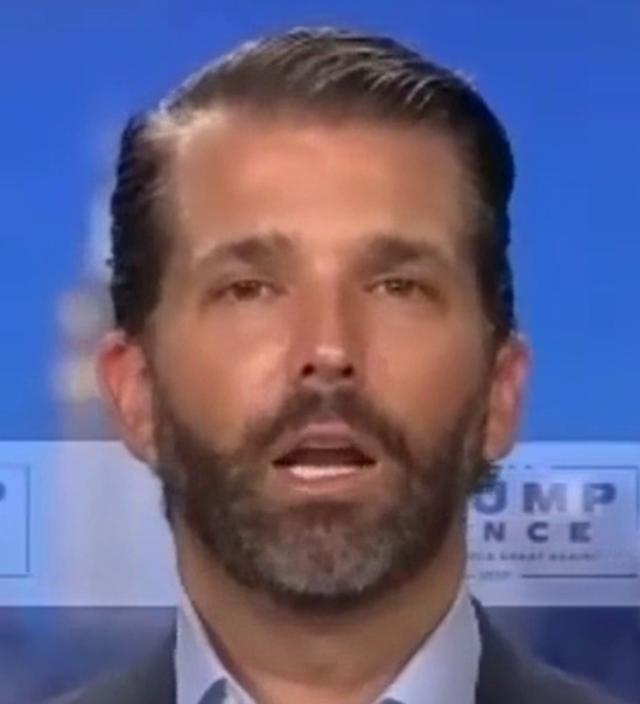 The hairline of Donald Trump Jr.