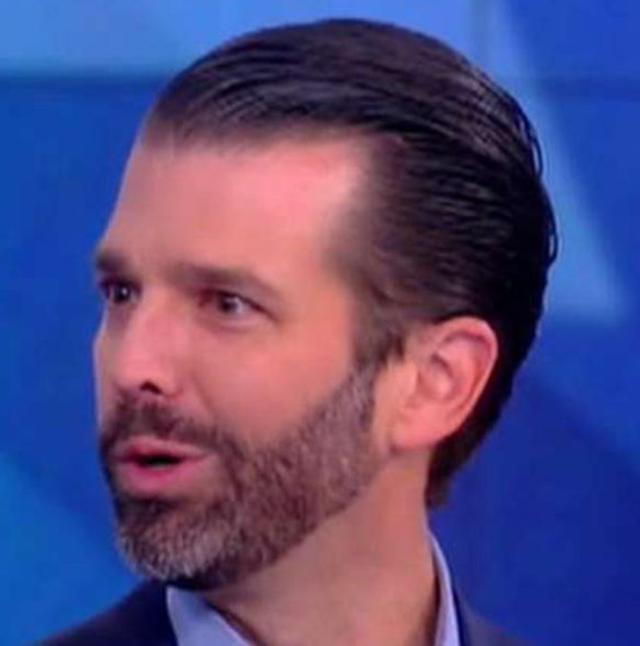 The hairline of Donald Trump Jr.