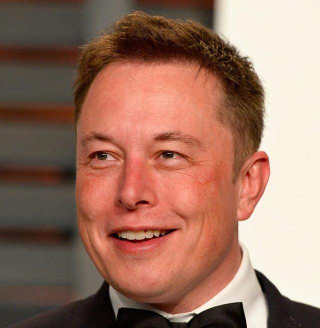 The hairline of Elon Musk