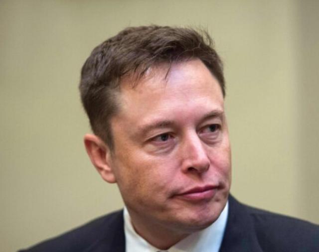 The hairline of Elon Musk