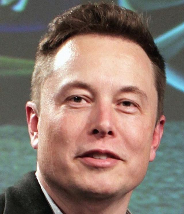 The hairline of Elon Musk
