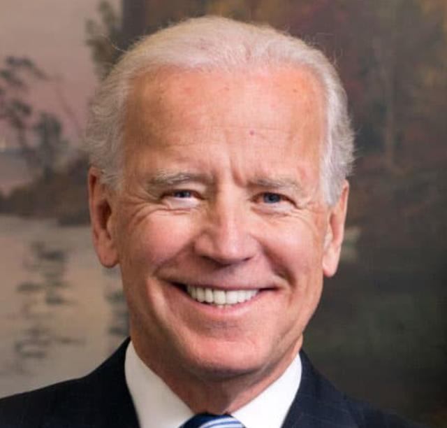 The hairline of Joe Biden