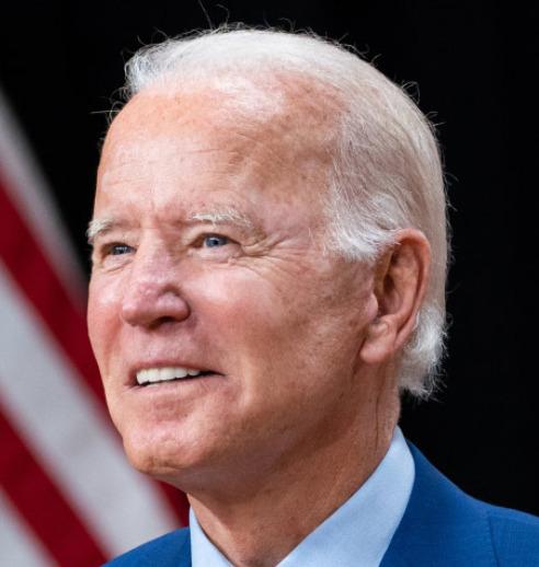 The hairline of Joe Biden