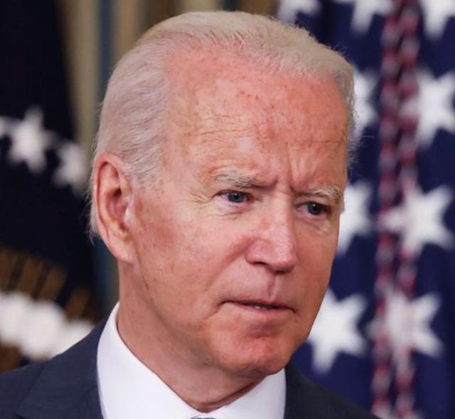 The hairline of Joe Biden