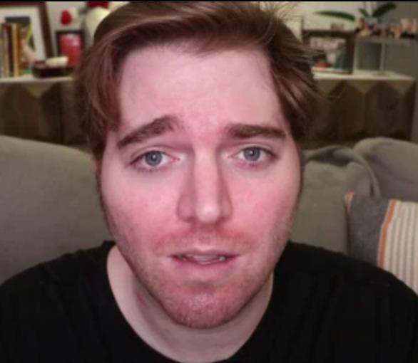 The hairline of Shane Dawson