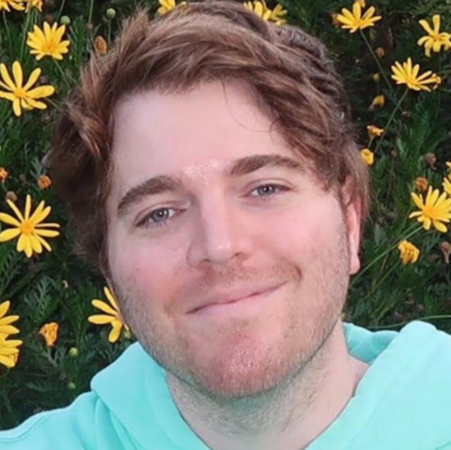 The hairline of Shane Dawson