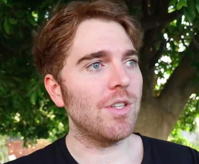 The hairline of Shane Dawson