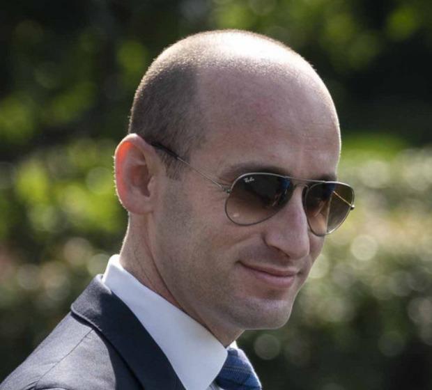 The hairline of Stephen Miller