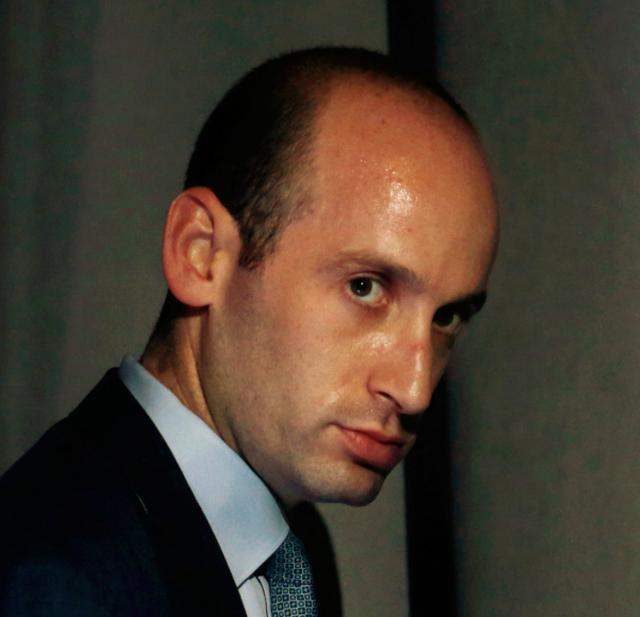 The hairline of Stephen Miller