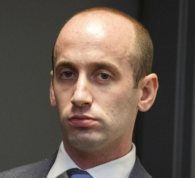 The hairline of Stephen Miller