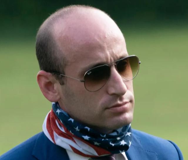 The hairline of Stephen Miller