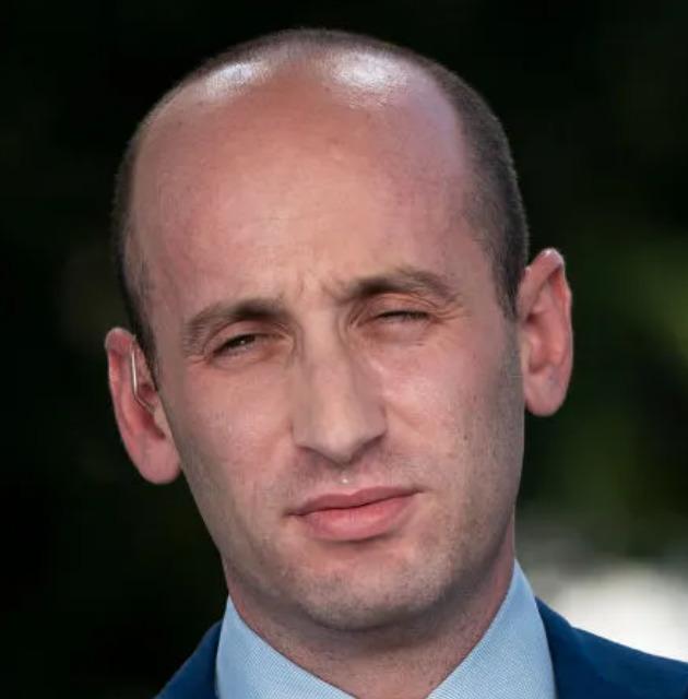 The hairline of Stephen Miller